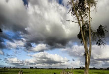 Yiwan28-穆古鲁扎意外战胜TES,刷新纪录引爆全场!引发球迷热议(任务又失败了西西特最新)