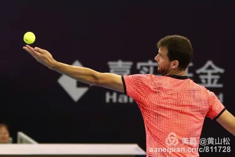 穆雷在中国队比赛中赛事规则更新，连败引发热议！的简单介绍